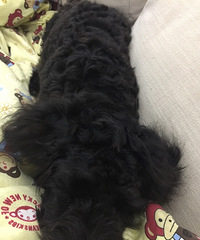 ���������ģ�