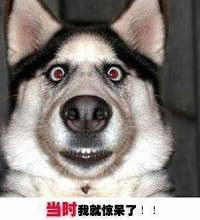 ��Ҫȥ���Ƥ  ��ô�������Ե��Լ��Ƚ���˾����