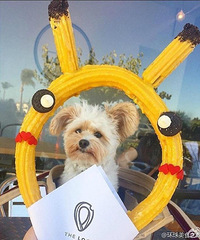 Ƥ�����¹� �ȵ���һ��Ѫ��̫�ɰ��� ȥ��Ƥ����~