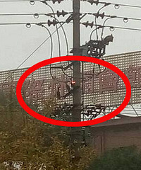 ��ѹ������ˣ�������