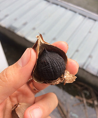 �����óԵ�ɽ������ͷ��һ���˳Բ�����ζ����