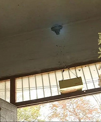 �������ˣ����쵽12�� ��Ⱥ���Ӿ����ڴ��������ﲻ���� ר��˵��