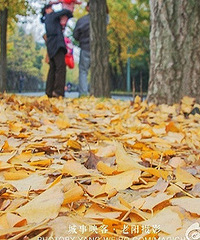 ��������·��������ը�� ����Ȧ�ѱ�ˢ��