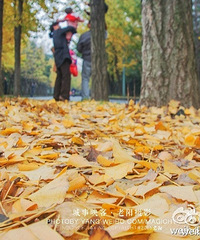 ��������·��������ը�� ����Ȧ�ѱ�ˢ���ˣ�