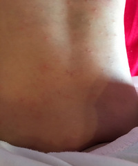 �����ơ������ĸ����£����ϳ��˺ܶ�С����