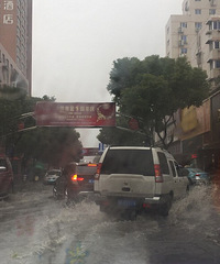 ����һ������  ����·��ͩ��ˮ����ɽ��