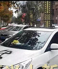 ʲô��ͣ�úúõı���"����"