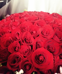 ���ǰ��surprise �Ϲ�����ƭ���·����������