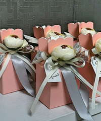 ����˹�������ռ�֮ϲ�ǡ�+��ɫϲ�Ǻ�