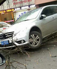 ��廨̳ �㿼�ǹ����ĸ����