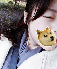 [�����Ľ�ȵ�����]���� Ҫ������