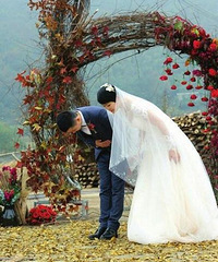 ��������� ������Ұ����񵾲ݲ��������