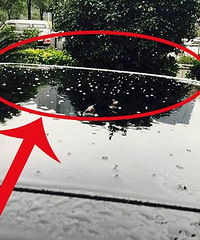 ������ѩ�ˣ�2016�궬���һ��ѩ