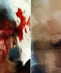 ��㤣���ܴ��Խ�������...