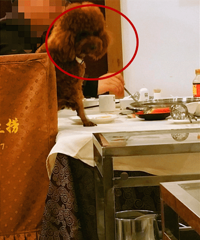 �Է�����������Ȼ����һֻ��������ҵ� ���ﾹȻ�������Եģ�