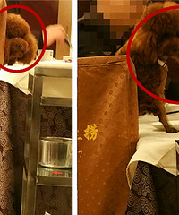 ����ҵ� ���ﾹȻ�������Եģ�