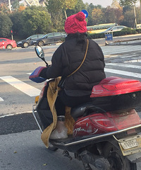 һ��ͼ֤�������ж��� ����������һ��