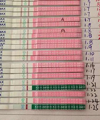 �𣡽��3��δ�� �Ϲ����̺ȾƲ���Ҷ�� �Ҳ��뱸���ˣ�