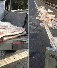 ����ײ�˻��� �����ϵ���һ·������