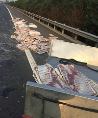 ����ײ�˻��� ���˸����ϵ���һ·������