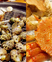 �þ�û�Ե���ô�ó���ʵ�ݵ��������ˣ�С����ǻ��������Ƽ���