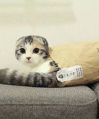 ���ڵ�������ҹ�� �����į�� ���������ҷ��ĵĻش��