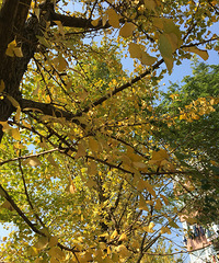 ����·����һ���� ���������������� �����ˣ�