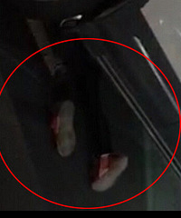 �ֲ�������һԽҰ��������Ů��ѹ�ڳ���