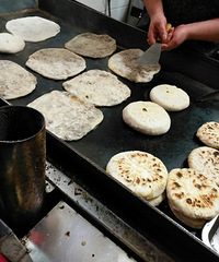 [��ʳ]����ѧԺ��������� �óԵ�ͣ��������