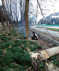 ��ʹ���л���·��ʮ��4��¥���е��������^