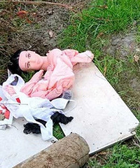 ƽ����Ұ·���С���Ů������ʬ��