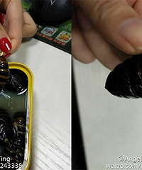 �ⶫ����ҳ��𣿸о����滹ͦ�۵ġ���