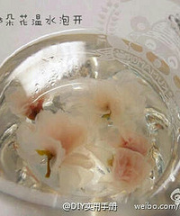 ��ĩ�ڼ�DIYӣ������  ������ ��ڼ�����