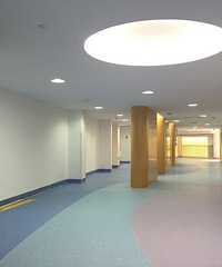 �ٵ��ľ�͸���������ʵ��ѧУ��ʳ�ü��׶�԰