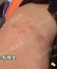 ����ĳ�׶�԰5�꺢�ӣ���ʦ�������ң�У�����������ʵ��������