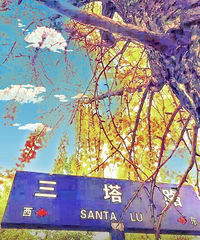 ����������֡��������� ��ը�ˣ�