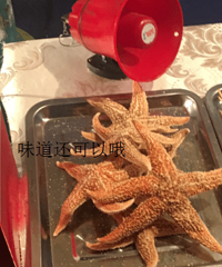 �ؿ�ζ������ ���� Ы������Ӽ ��ҳ���