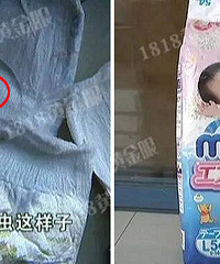 ���ˣ�ĳ��������ݼѾ�Ȼ�а�ɫС����