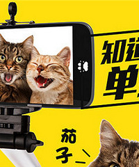 ��˵��ǧԪ������˹�ֽ�ȯ��