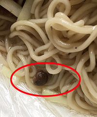 �����Գ���ţ�����ѣ��������Ӽ�...