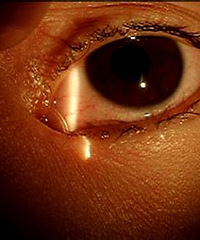 �߸����±��� �����ϴ�Ѿ�9���� һֱû��...