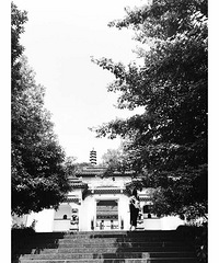 �����Ĵ�����