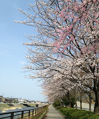 �������е�·��Խ��ԽԶ �����Լ��������������