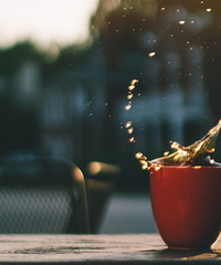 [2016�����̵�]������������Ŀ��ȵ��̵�