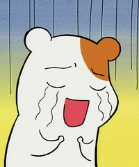 С���飿��19¥�����Ǹ����򷿵ľ��� �������ֶ��ü��׷�