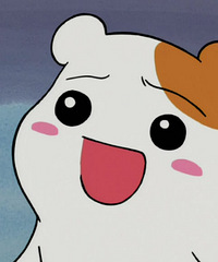 ��6k/�O��1.1w/�O