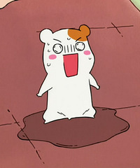 ��ȻҪ�� �����򷿵�ʱ����һ�ж���Ҫ �������ڡ�