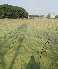 ��һ��û������ ��źԭ����ô���࣡