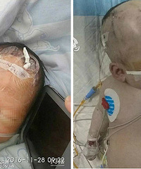 ��Ѱר�ң�42��Ӥ�������� ȫ������...