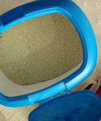 �ڼ���ĳĸӤ�������׷� �������˾�������...ԭ�������г���